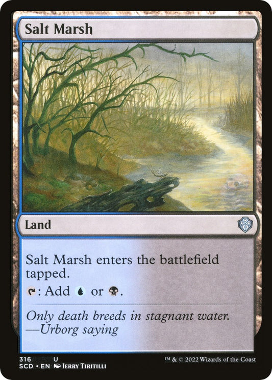Salt Marsh [SCD - 316]