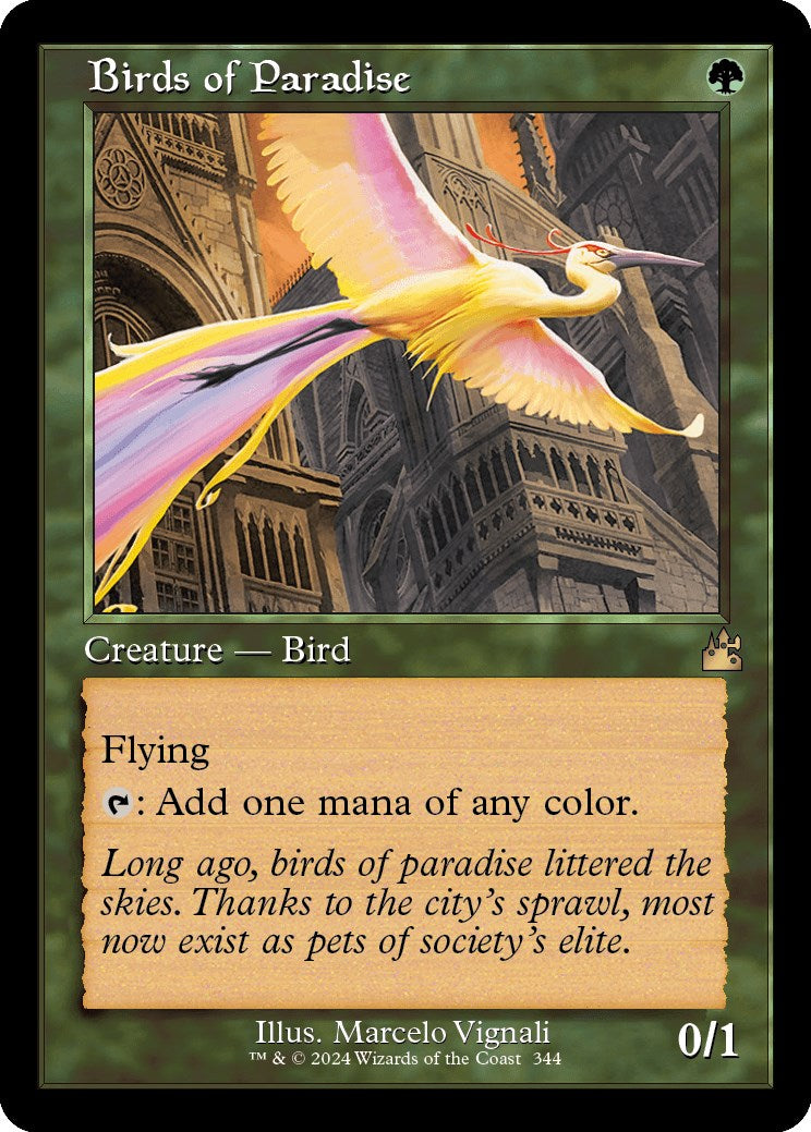 Birds of Paradise (Retro Frame) [RVR - 344]